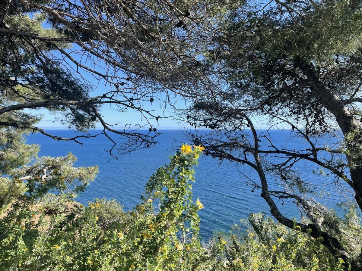 Appartement Mignon Calme Douillet Ascenseur Clim Etage Eleve Proche Parking Et Toutes Commodites Au Coeur Du Toulon Historique Εξωτερικό φωτογραφία